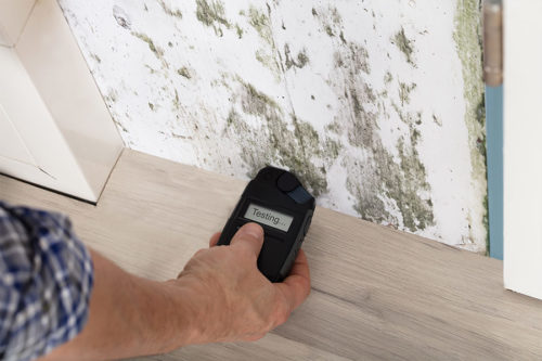 man inspecting mold on wall