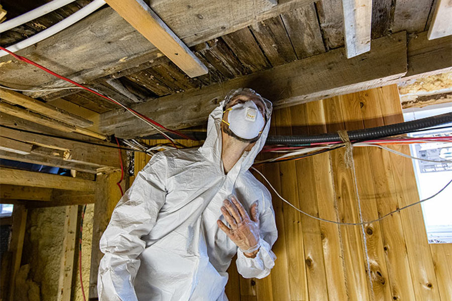 mold home inspector in attic
